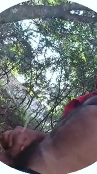 Dans les bois