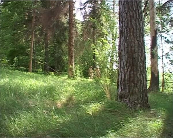 Porno Cloud: Kuk Kåta Vilda Fittor