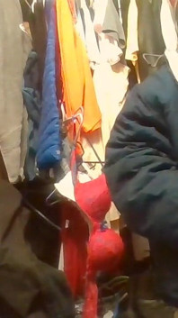 flaish