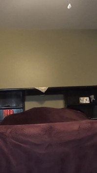 Naughty Neighbor Custom Video