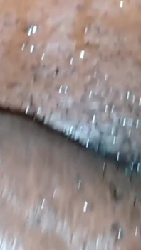 내 보지를 핑거링하는 흑인 대물 자지 Nata4sex를 빠는 Youngenglishbbw