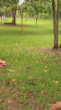 Un cuplu de twinks face sex la prima lor întâlnire în parcul public
