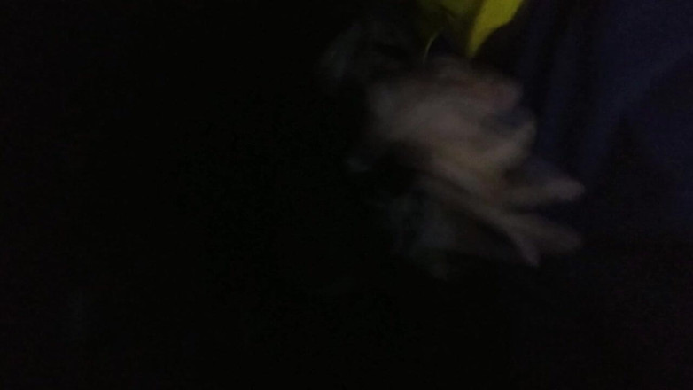 AlexAlejandro13: Super sekarang saya merasakan apa itu kesenangan