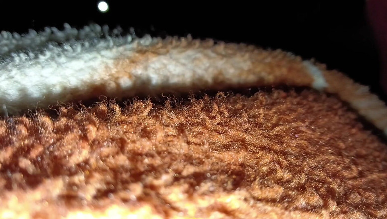 Rani mukharji: Beauté