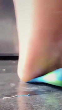 Everybody Wants to Stomp the World