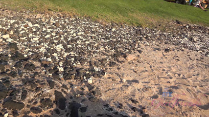 ATK Fans (Girlfriends): Cece Capella ke saath varchual vekeshan havaee 4/8