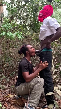 Kepada Kekasih yang dibuat di dalam hutan