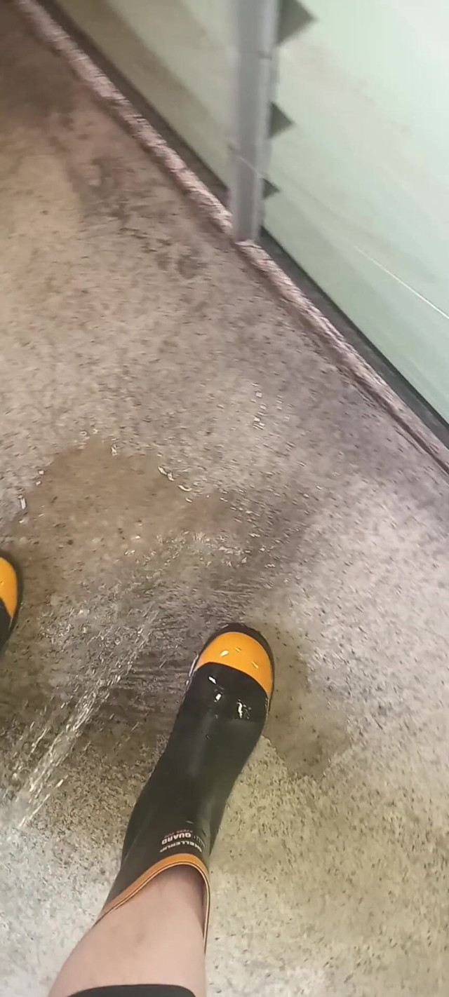 Pissing on Steel Toe Black Rubber Wellies (LatexBoyNZ) Pissing on Steel Toe Black Rubber Wellies (LatexBoyNZ)