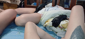 Lesbian-illusion: 침대에서 핫하고 하드코어하게 자위하는 우리 세 명과 동시에 사정