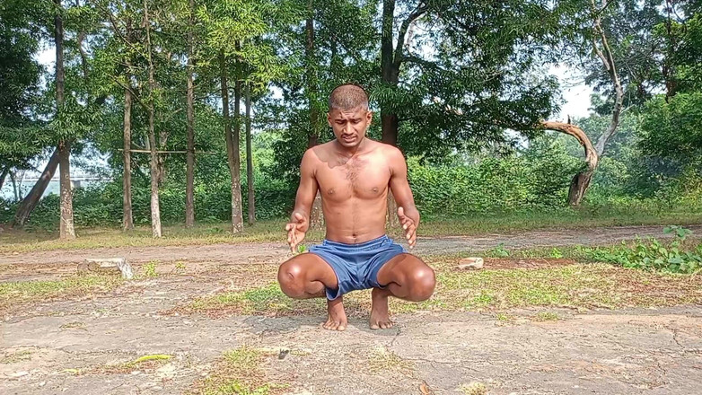 LinearOrnament35: 100 push up challenge live purup