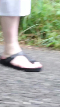 Sosny Górskie Birkenstock Bawią Się W Kałuży Deszczowej