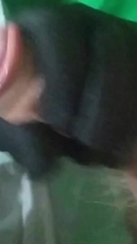 Nadržená manželka dojí ptáka ke snídani