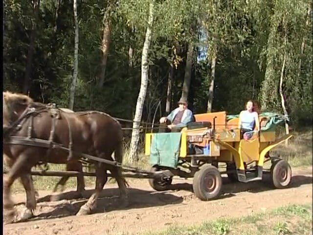 Lucky Cooch: Strolling down the country side