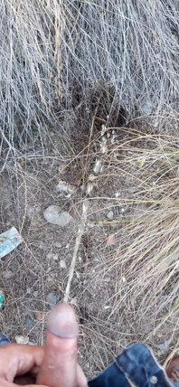 Risky Piss, I Had to Urinate in a Field Behind Some Flats Because My Cock Needed to Pee.