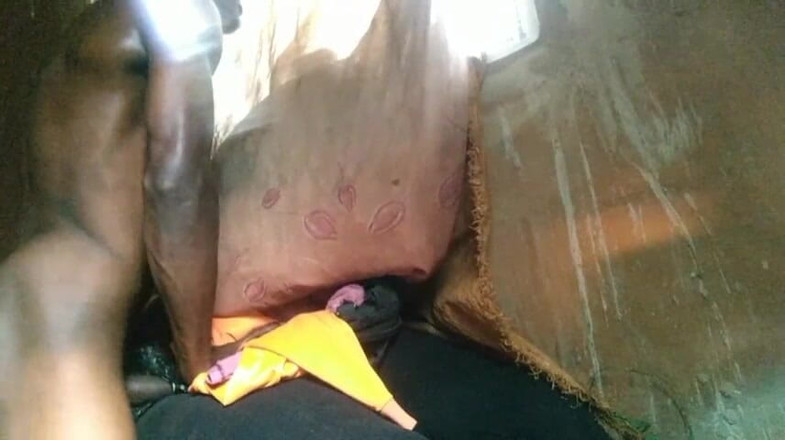 Bangcum8: Boy Fuck Free Pussy and Cum Very Good