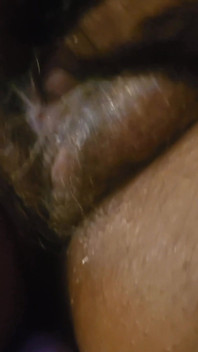 Squir