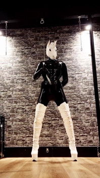 Dominatrix Unicorn