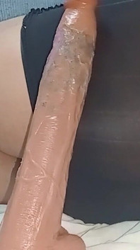 我希望这整个玩具适合我