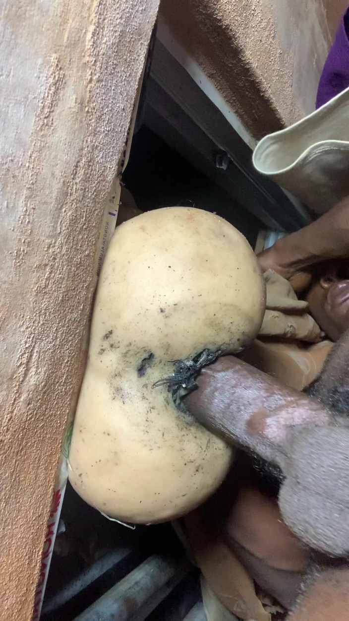 Bangcum8: Pozwól mi pieprzyć tę wielką dziwkę tak gorąco, słysząc moich...