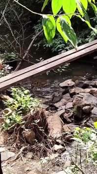 Era Simples Caminhada Numa Trilha Com Minha Irma E Um Estranho Apareceu