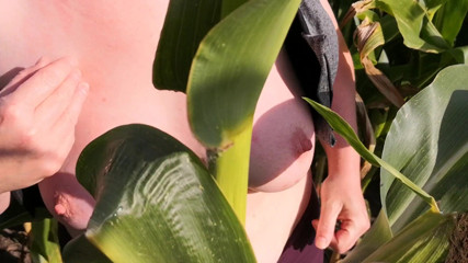 Bouncy Tits Action: Tampar tetek saya di padang jagung
