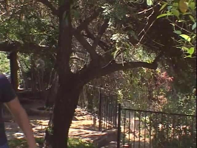 Swing My Wife: 摇摆我的妻子：摆动我的妻子 136