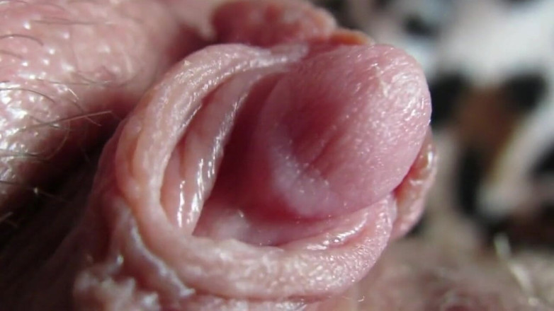 Cuteblonde666: Big clit compilation 2