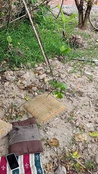 Kakak tiriku yang nakal mengajakku ke tempat terpencil untuk nyepong kontolku dan crot di dalam memekku kaya pelacur mesum