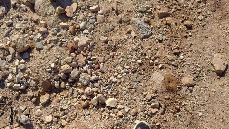 LyricsWay: Чернокожая пара в походе на свежий воздух и порнозвезды