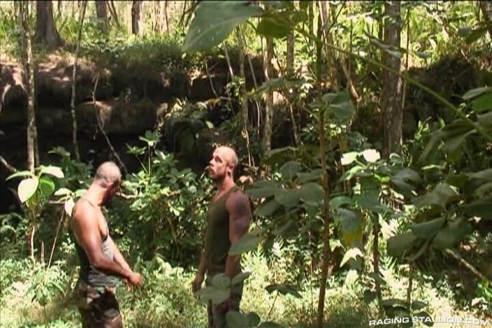 Raging Stallion: Tuan-tuan hutan