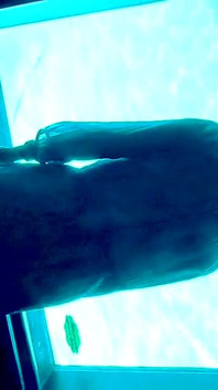 Chu Married Woman Training Mayu No73 Aquarium Exposure Date in a Nude Sheer Dress