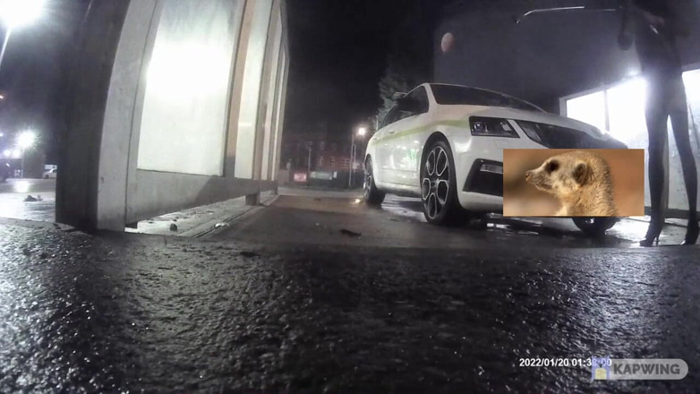 Lingeriemanx69: Car wash in stockings 1