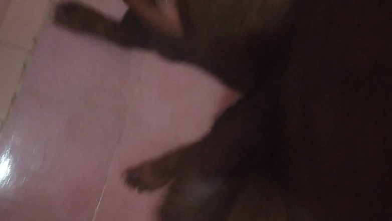 Tamil 10 inches BBC: Tamil de 10 pulgadas - bbc mañana en sesión de madera