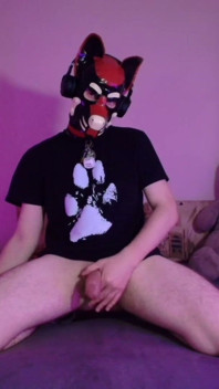 Kneeling Pup Strokes His Bone for You