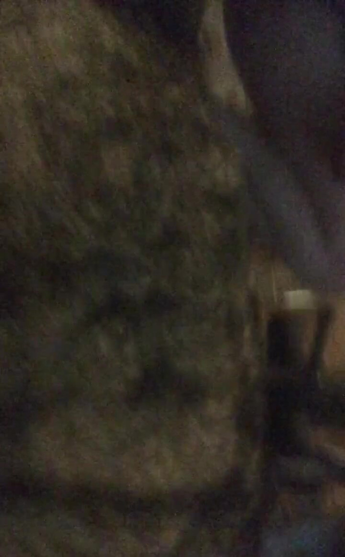 Michellexm: 바디 클로즈업