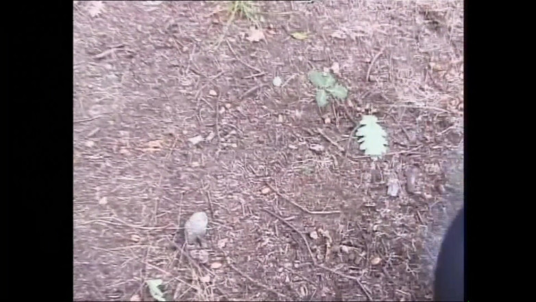 FM Video VOD: I Swear I Did Not Mean - (original Full Movie Uncut)