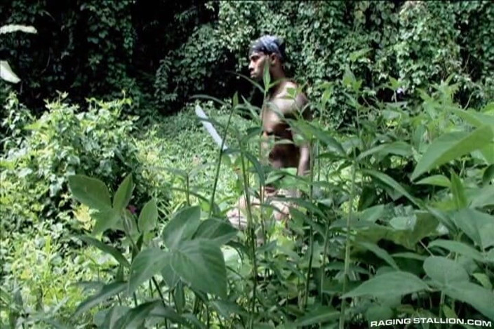 Raging Stallion: Les seigneurs de la jungle