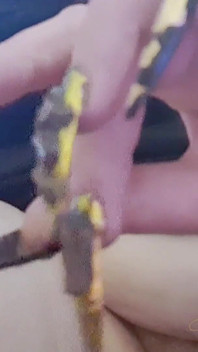 Vše, co potřebujete Jsou pixely