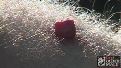 Pantheon men: Bear Oasis: Björn 3 sätt