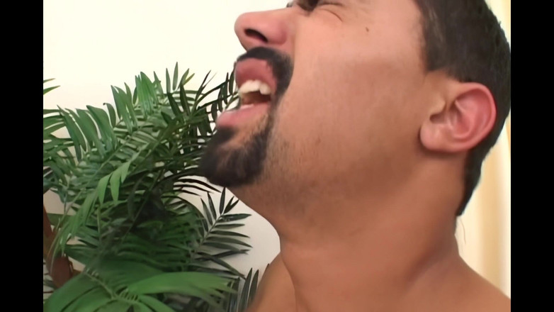 Planet Shemale: Шмель-шлюшка принимает порцию спермы после порции спермы, как чемпион