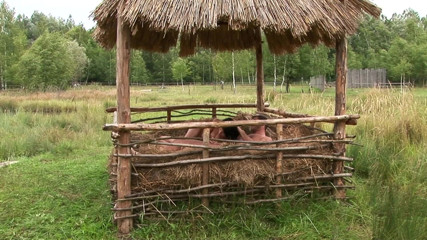 Radical: Afuera teniendo sexo y metiéndoselo en el culo