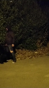 Elle M’a Demandé D’arrêter La Voiture Pour Qu’elle Puisse Me Sucer