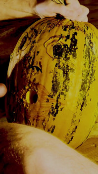 Rough Fucking in the Mouth of a Scary Pumpkin!
