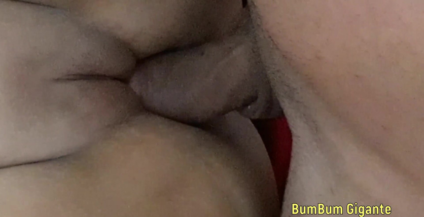 Srta Camargo: 敲打紧拉丁阴户