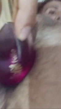 Decalaj anal