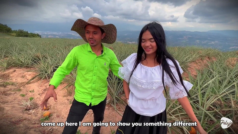 Pelaje mix: Vesnická žena chtěla sklidit ananas a místo toho vysadil Cassavu do...