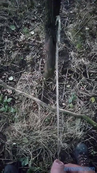 Pissing