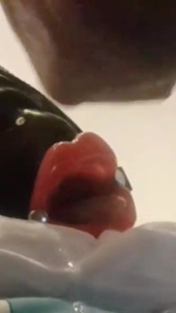 MILF with Ring Gag, Fake Lips, Mouth and Facial