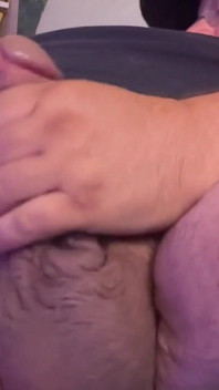 Muscle Bull Bear Has a Huge Belly and Wide Feet