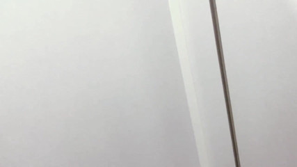 Extremalchiki: Mall WC